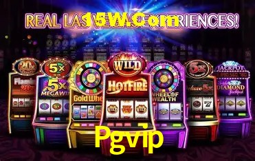 Experiência VIP Pgvip