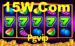 Premium Interface Pgvip